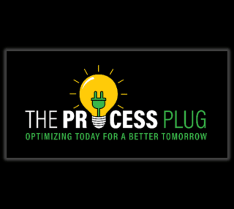 process plug llc (1)